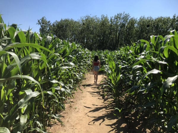 Labyrinthe de Ker ar C’hoari