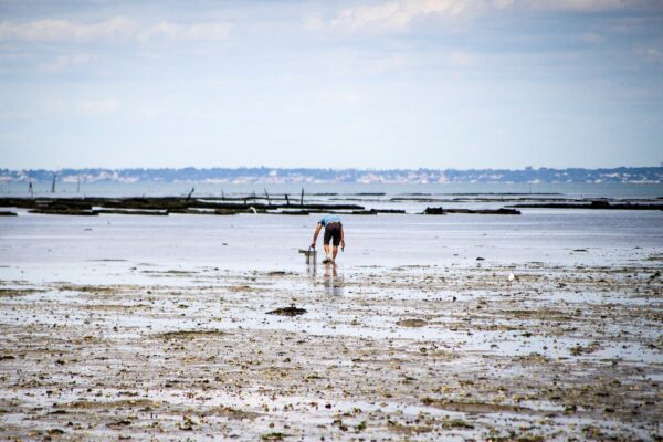 Pêche à pied Petite Mer de Gâvres